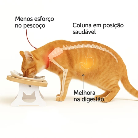 COMEDOURO ELEVADO PARA GATOS COM TIGELA DE PORCELANA ERGONÔMICO