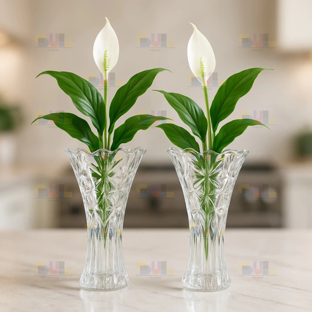 Kit 2 Vaso De Vidro Decorativo Para Plantas Moderno Resistente Vidro ...