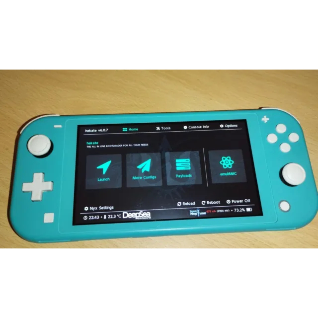 Nintendo Switch Lite Desbloqueado seminovo