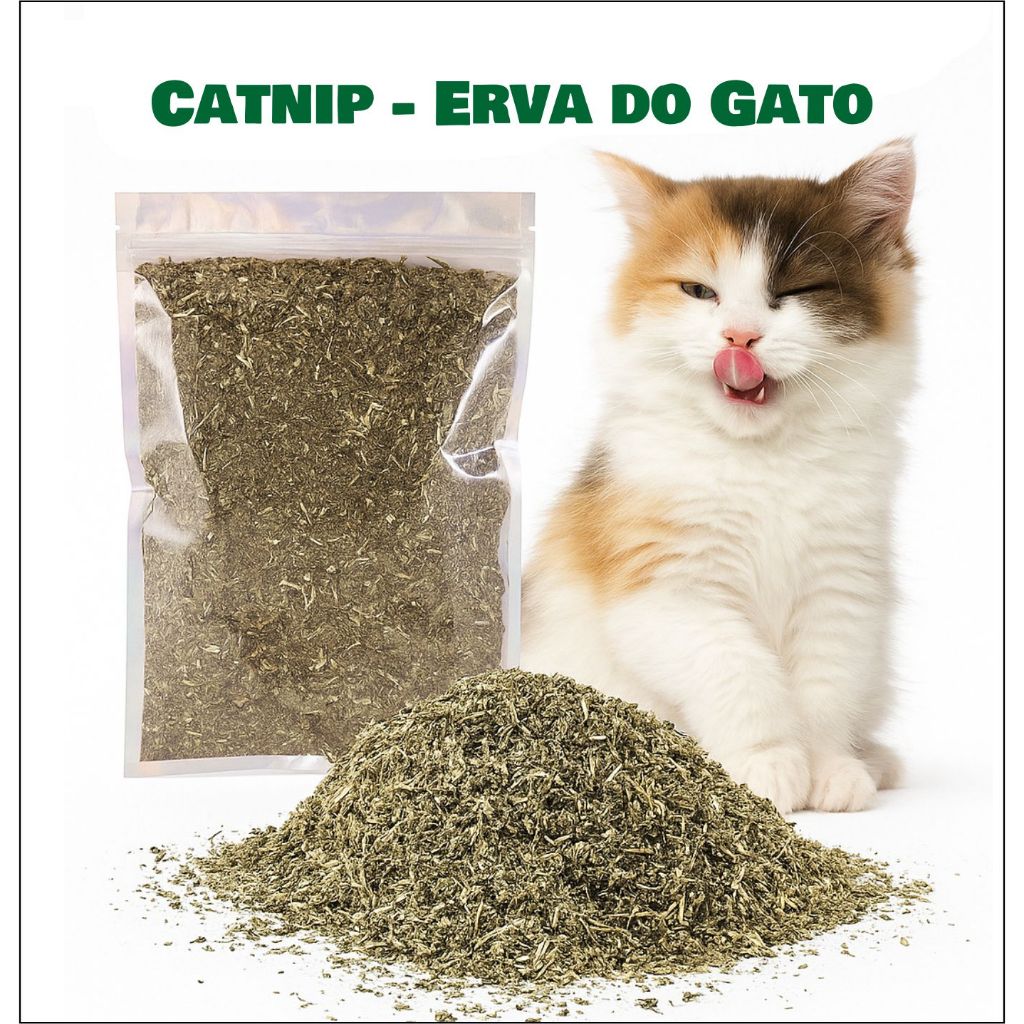 Catnip Erva do Gato Natural - Gatinho Feliz