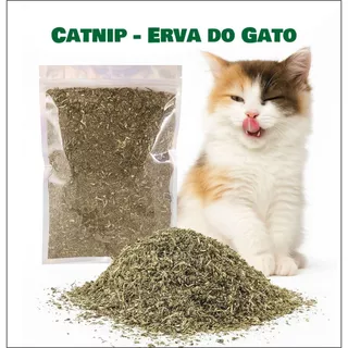 Catnip Erva do Gato Natural - Gatinho Feliz