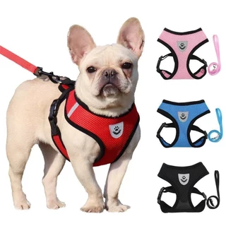 Coleira Peitoral para cachorro pequenos e médios com guia para pet colete confortável em Oferta na Shopee