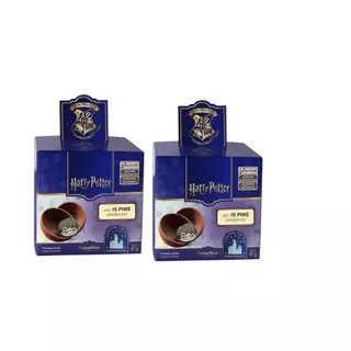 Chocolate Cacau Show Harry Potter Caixa Surpresa Dupla com Pin Colecionável em Oferta na Shopee