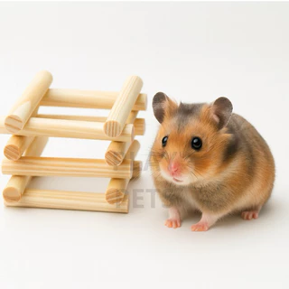 Palitos de Madeira para Chinchila, Coelhos, Hamster - Roedores