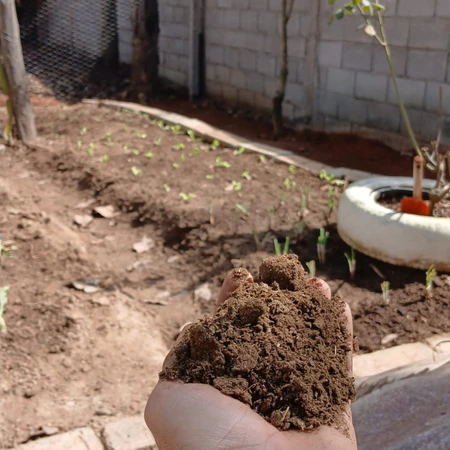 Esterco de gado o mais puro e curtido 100%natural e orgânico adubo vegetal