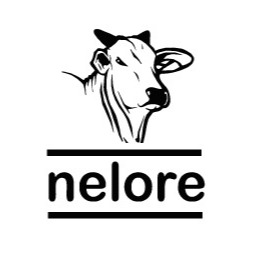 adesivo nelore escrito com boi | Shopee Brasil