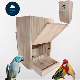 Ninho ring neck ringneck ou rosela com gaveta