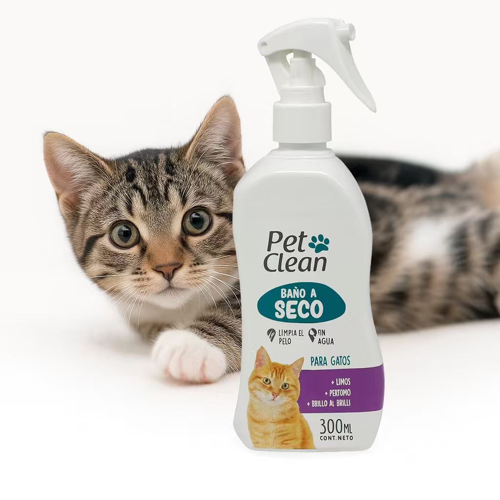 TEM PROS GATINHOS QUE NÃO GOSTAM DE BANHO