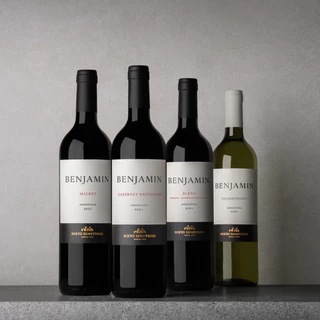 Vinho Argentino Tinto Suave Benjamin Nieto Senetiner Malbec 750ml