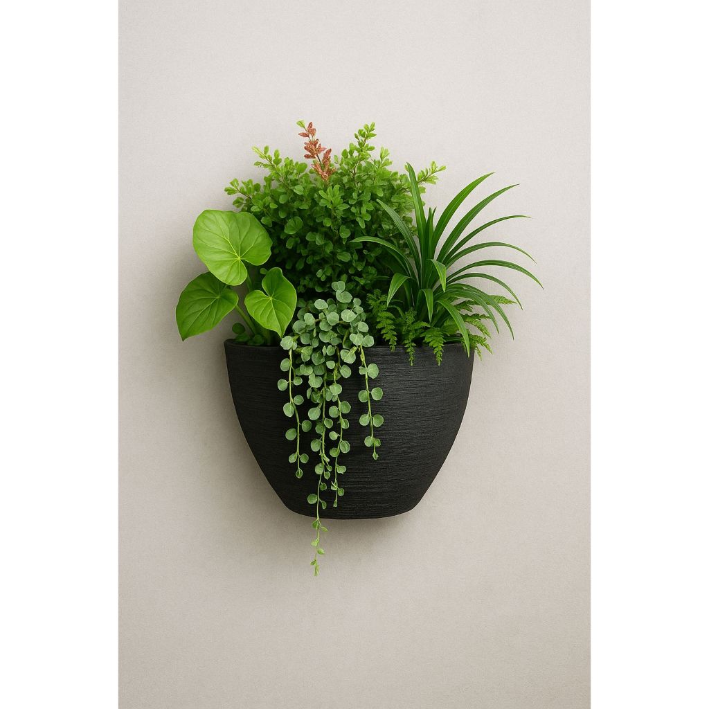 Vaso de Parede Kit com 10 Unidades Pequeno para Jardim Vertical ...