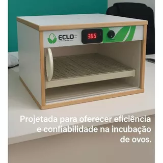 Chocadeira Automática 30 Ovos de Galinha em Oferta na Shopee