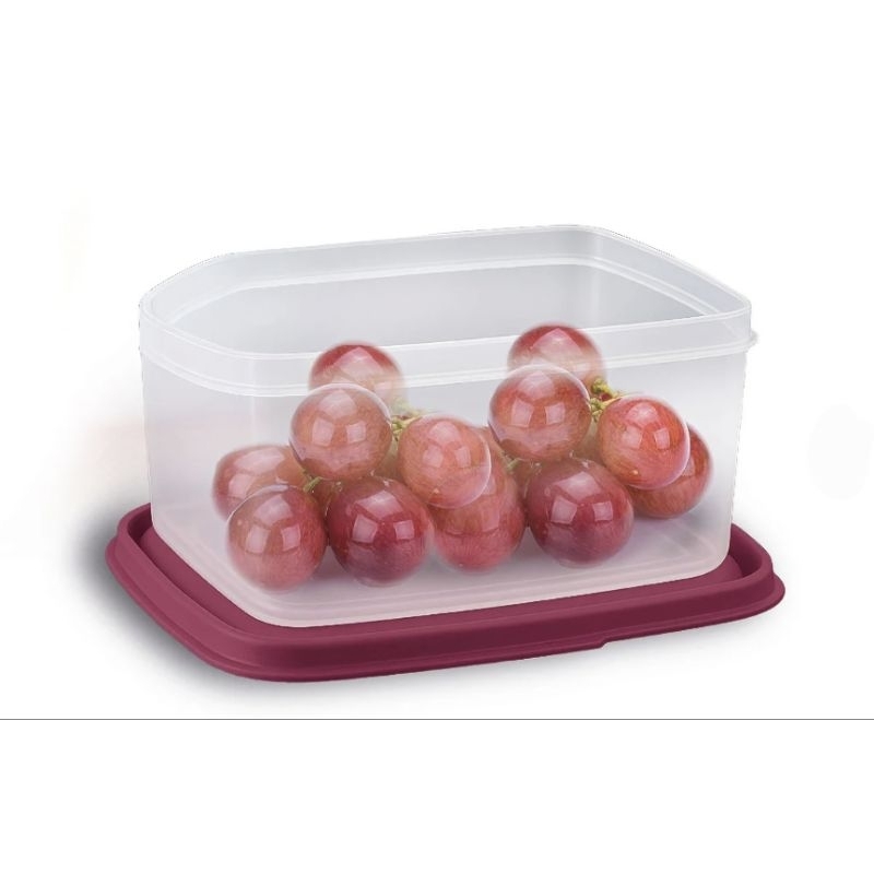 Tupperware Basic Line 500ml Transparente | Shopee Brasil