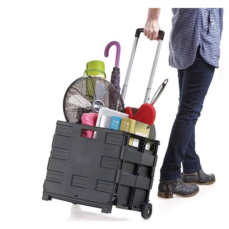 Carrinho Cesto de Compras Portátil Multiuso Dobrável Até 25 Kg | Shopee ...