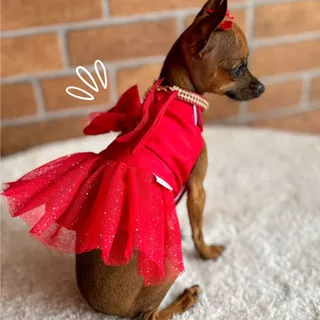 Vestido Natal Encantado vermelho para cachorro e gato
