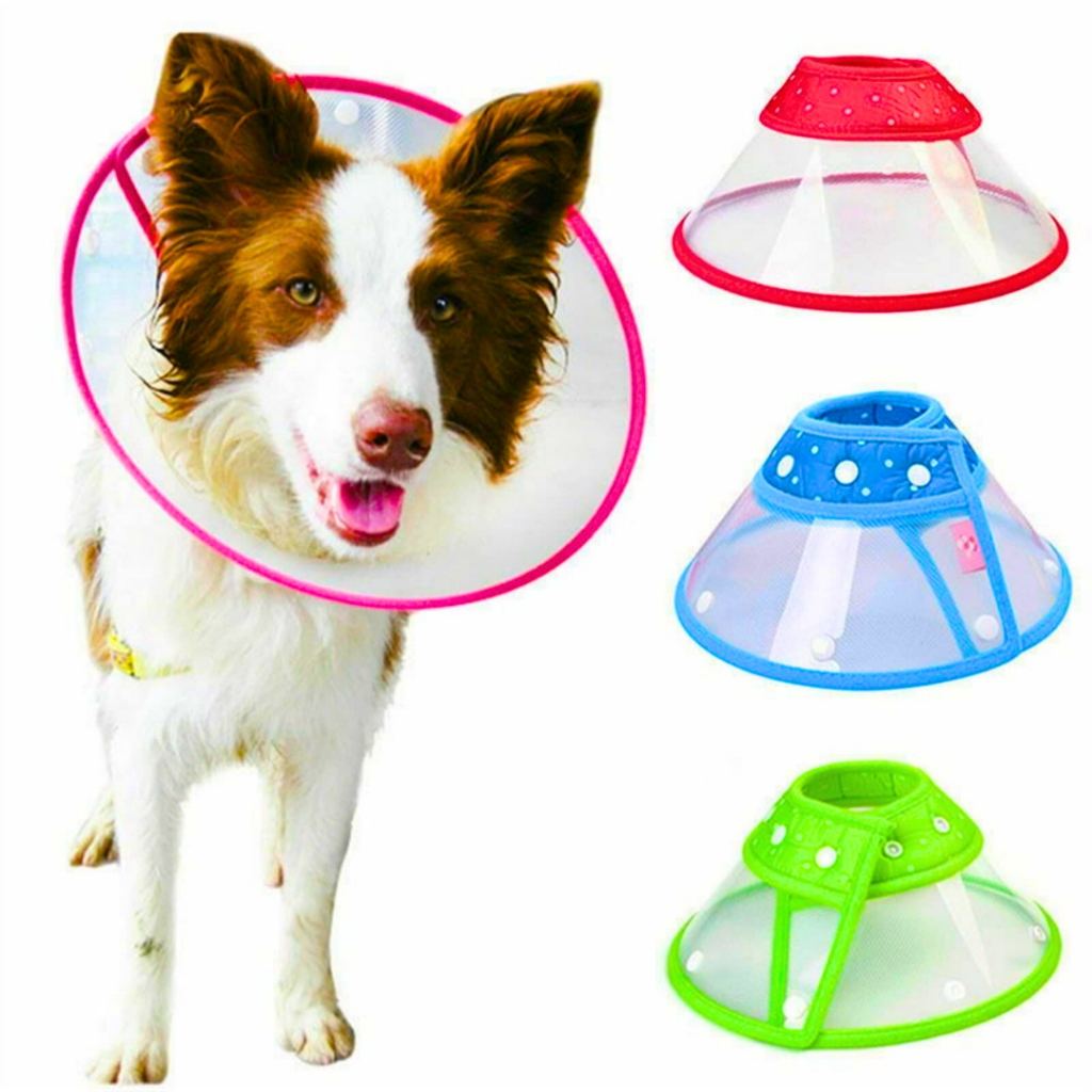 COLAR ELIZABETANO CONE PÓS CIRÚRGICO CONFORTÁVEL PARA CACHORRO E GATO ...