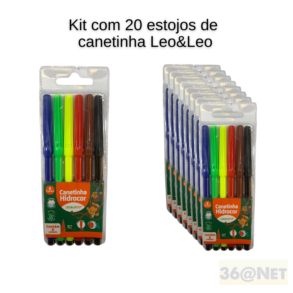 KIT COM 20 CANETINHA HIDROCOR 06 CORES LEO&LEO | Shopee Brasil