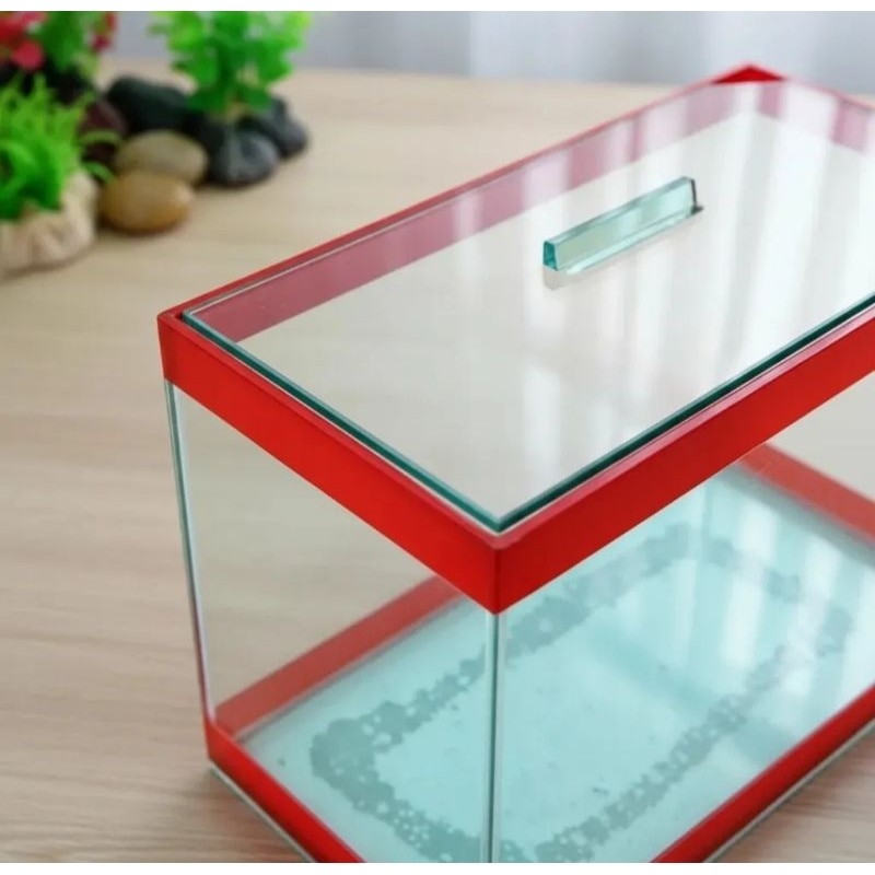 Aquário 4,2 litros Retangular 25x12x15cm Para Peixes betas e plantas ornamental decorativo presente