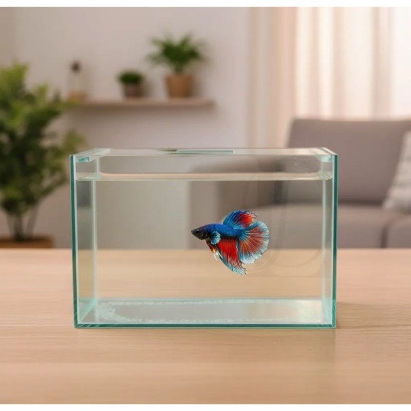 Aquário 5 litros Retangular 25x13x18cm para Peixes e Plantas de Vidro incolor com Tampa decorativo n2