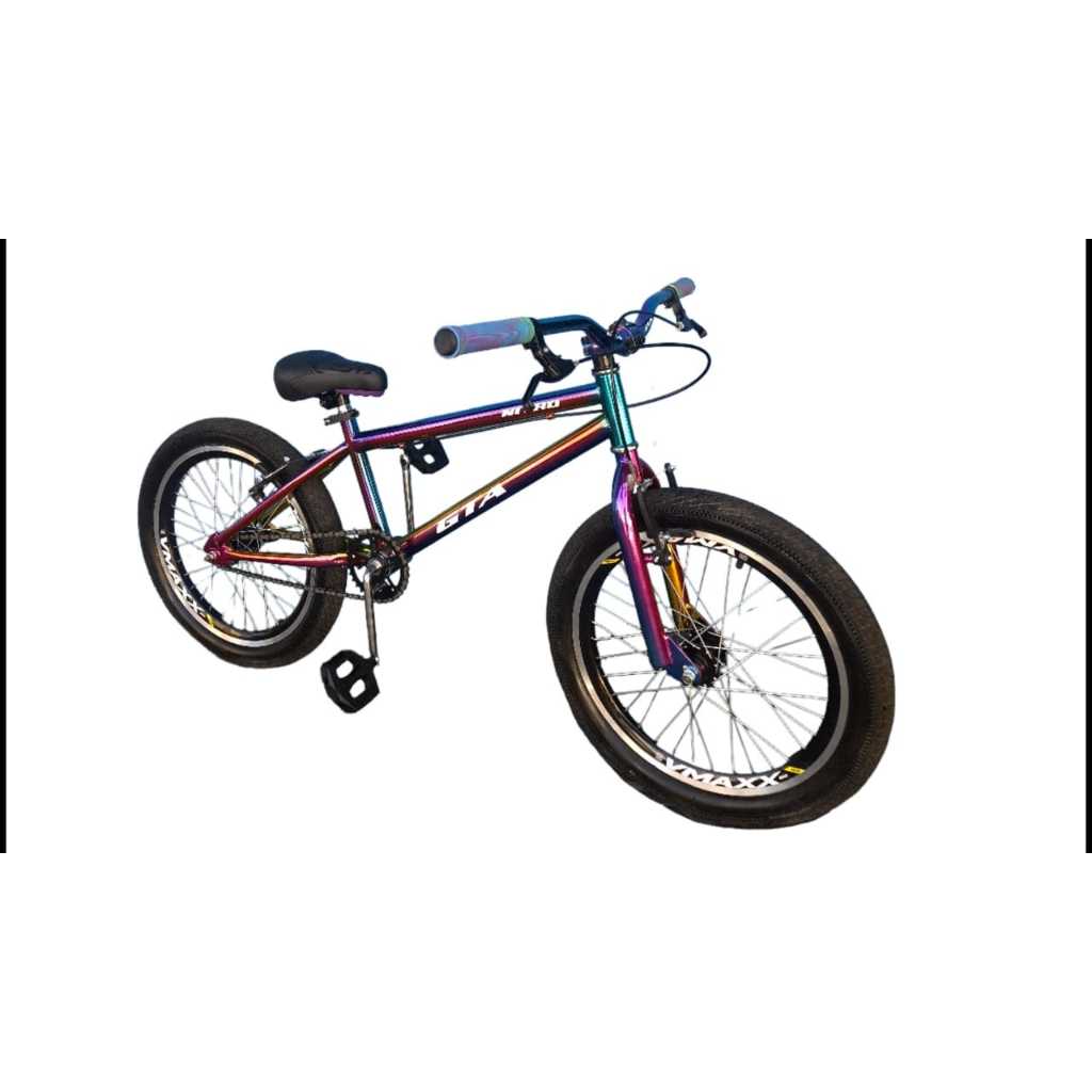 Bicicleta aro 20 camaleão