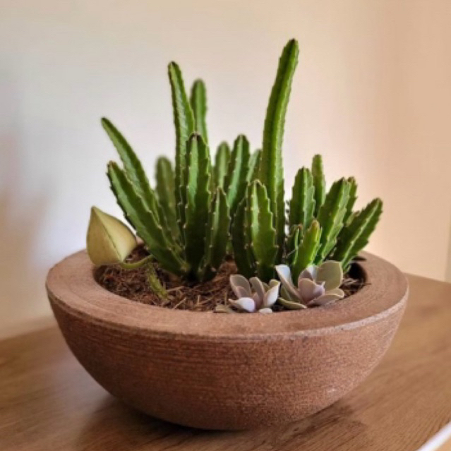 VASOS PARA PLANTAS BACIA N1