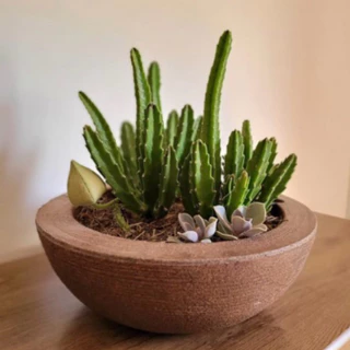 VASOS PARA PLANTAS BACIA N1