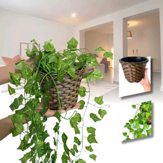 Kit Plantas Decorativa: 2 Vasos Trançado Marrom + 6 Pendentes Artificial Folhas De Hera