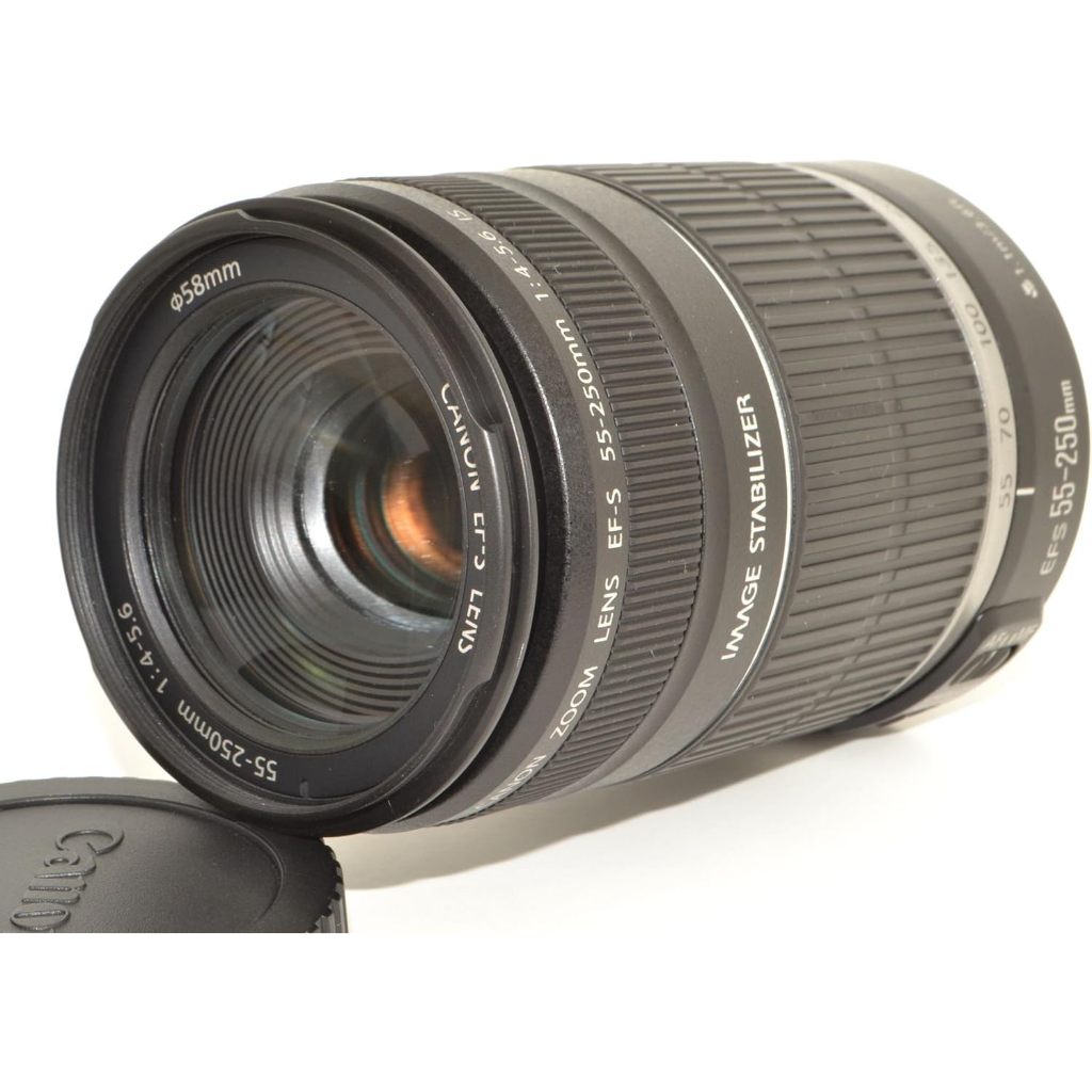 Canon EF-S 55-250mm 交換レンズ キヤノン EF-S55-250mm F4-5.6 IS STM | 交換レンズ