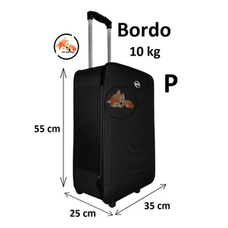 Mala 10kg Viagem BORDO 55x35x25cm Bolsa de Mão ANAC Rodinhas Village - Bordo em Oferta na Shopee