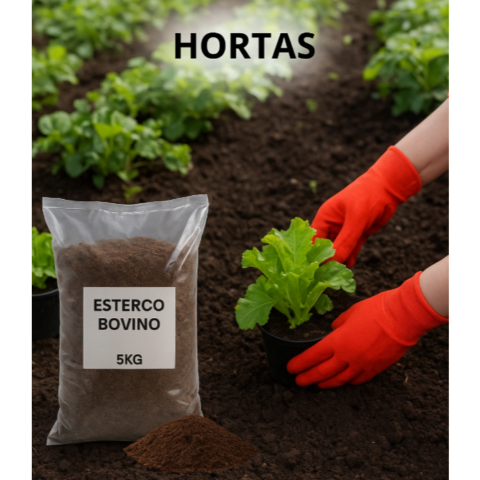 Esterco Bovino Adubação Orgânica imagem 4
