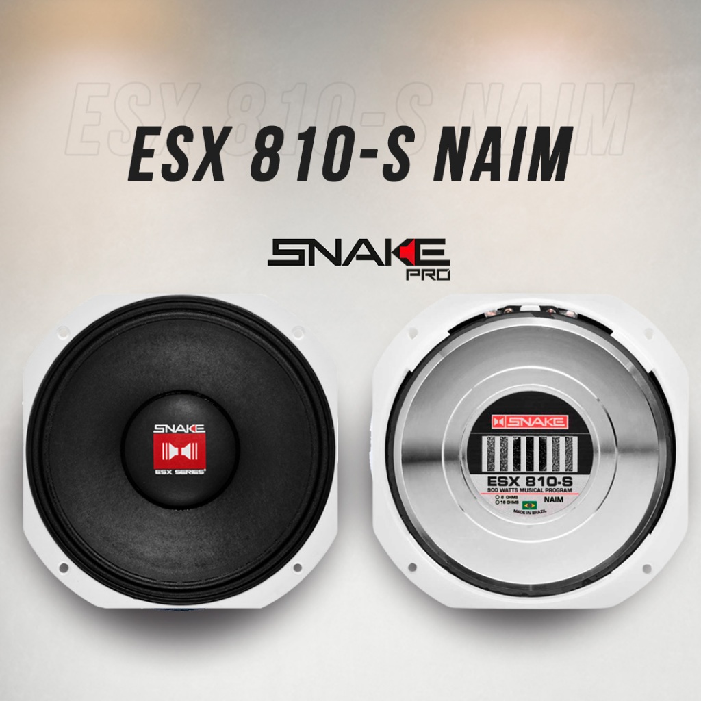 Alto Falante 10 Polegadas Snake Esx810s 900w Medio Grave Preto