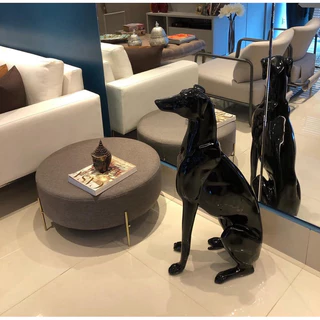 Cachorros Filhotes Basset House Abc: Onde Comprar | BuscaProdutos