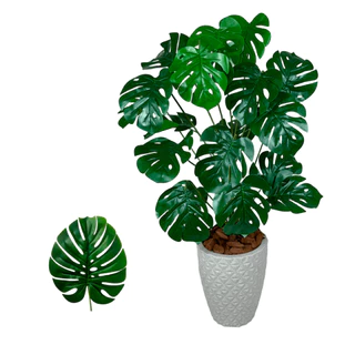 Costela De Adão Artifical + Vaso Polietileno Completo Cores Acompanha Casca Pinus