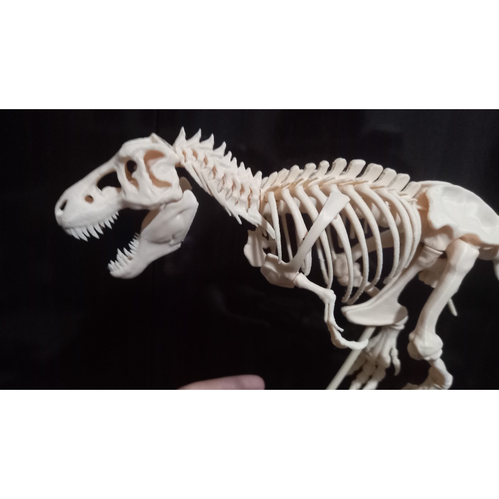 Esqueleto Tiranossauro Rex T-Rex impressão 3D filamento PLA Fosco ...