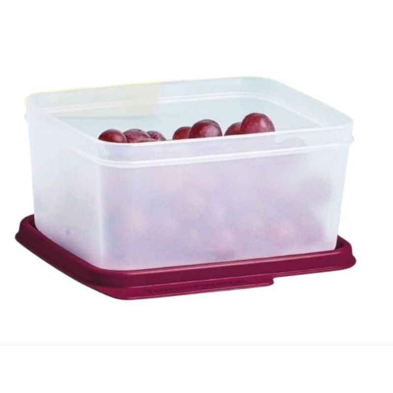 Tupperware Basic Line 500ml Transparente Tampa Marsala – Original ...