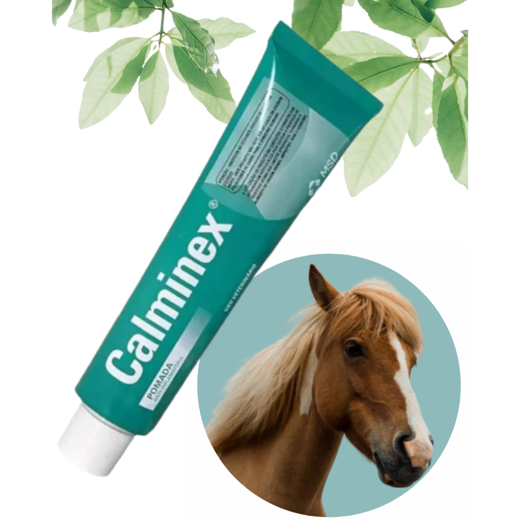 Pomada Calminex anti inflamatória batidas, contusões, dores articulares ...