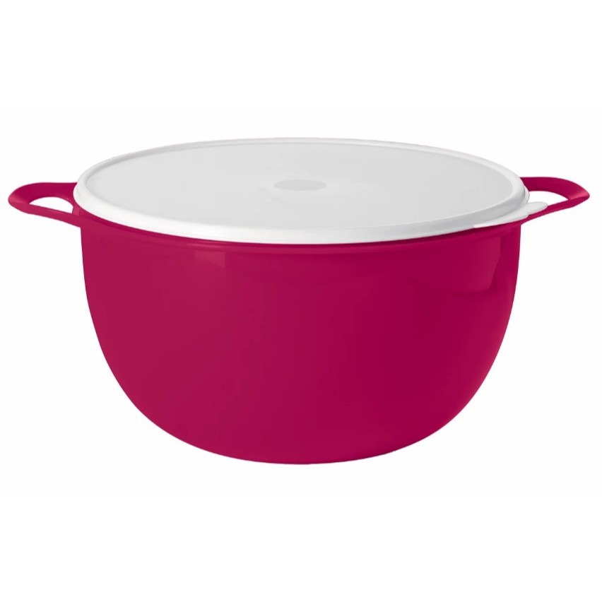 Tupperware Tupper Tigela Bacia Grande Actualité 10 litros Bordo ...