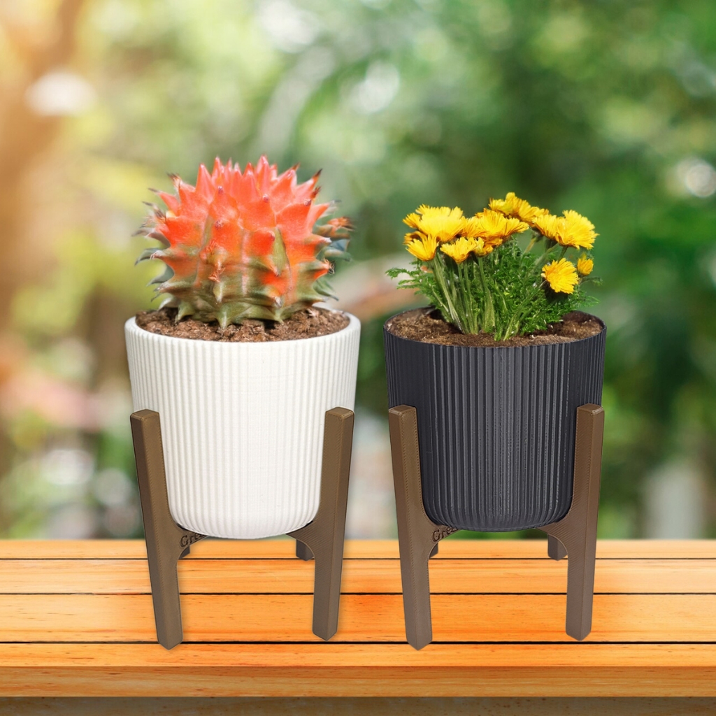 Conjunto de 2 Vasos Pequenos Decorativos para Plantas Naturais e ...
