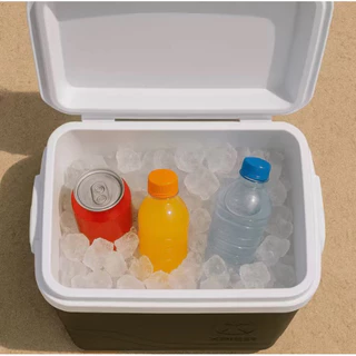 Caixa Térmica XPlast 22L e 42L com Alça Resistente para Bebidas e Alimentos
