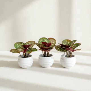 Kit 3 Mini Plantas Artificiais com Vaso | Arranjo Realista para Decoração | Diversos Ambientes