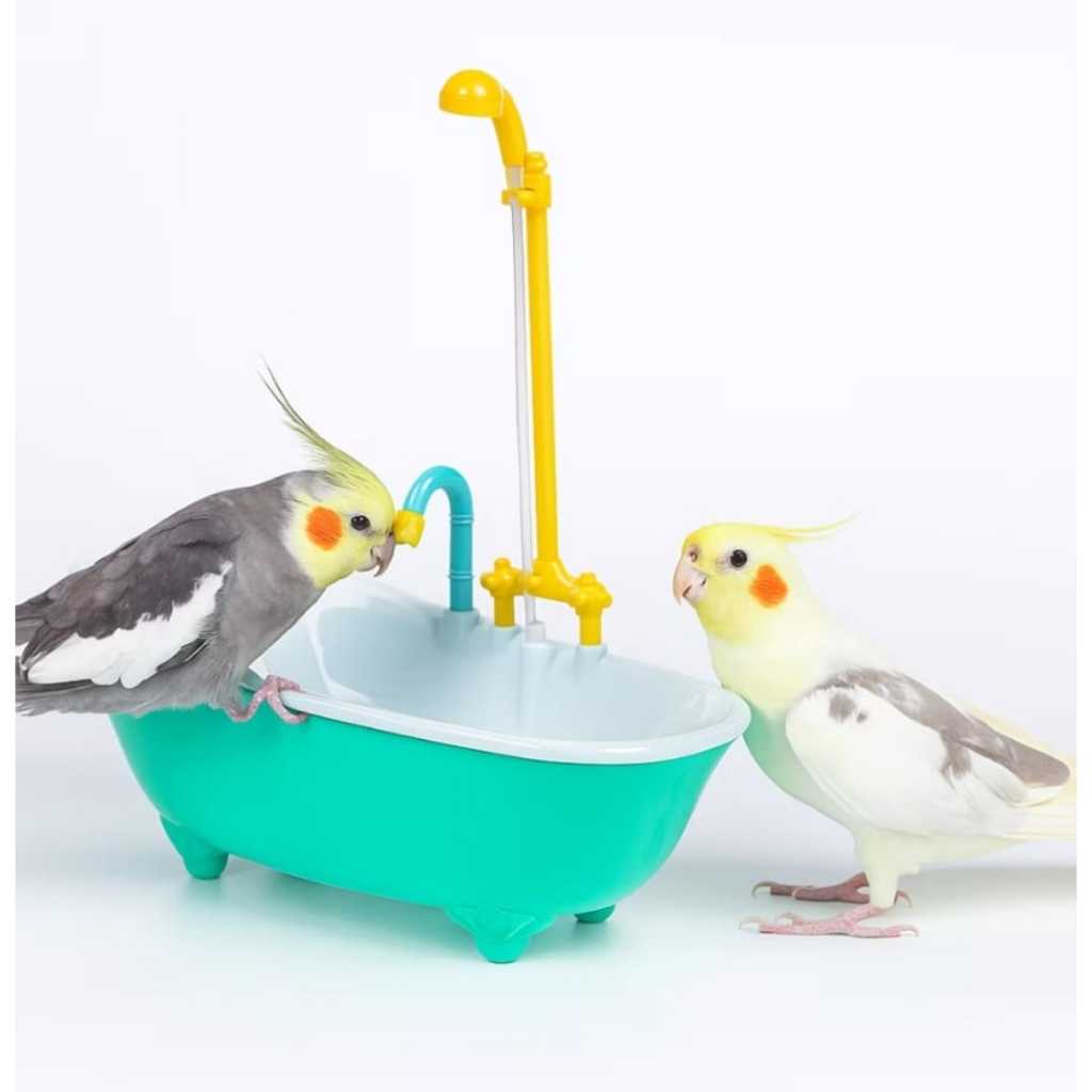 Brinquedo Para Pássaros Calopsita Periquito Banheira Chuveiro | Shopee ...