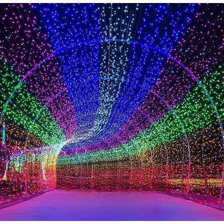 Pisca Pisca 10M 100 Leds 127/220V 8 Funções Fio Transparente Luz De Natal Forte Iluminação — imagem 1