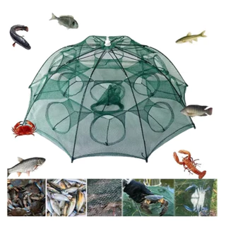 Covo Armadilha Com 6 ou 8 Furos Pesca Peixes Siri Lambari Camarão Iscas Guarda Chuva Anzol