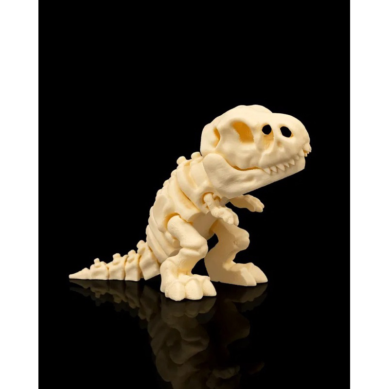 Dinossauro Articulado Esqueleto