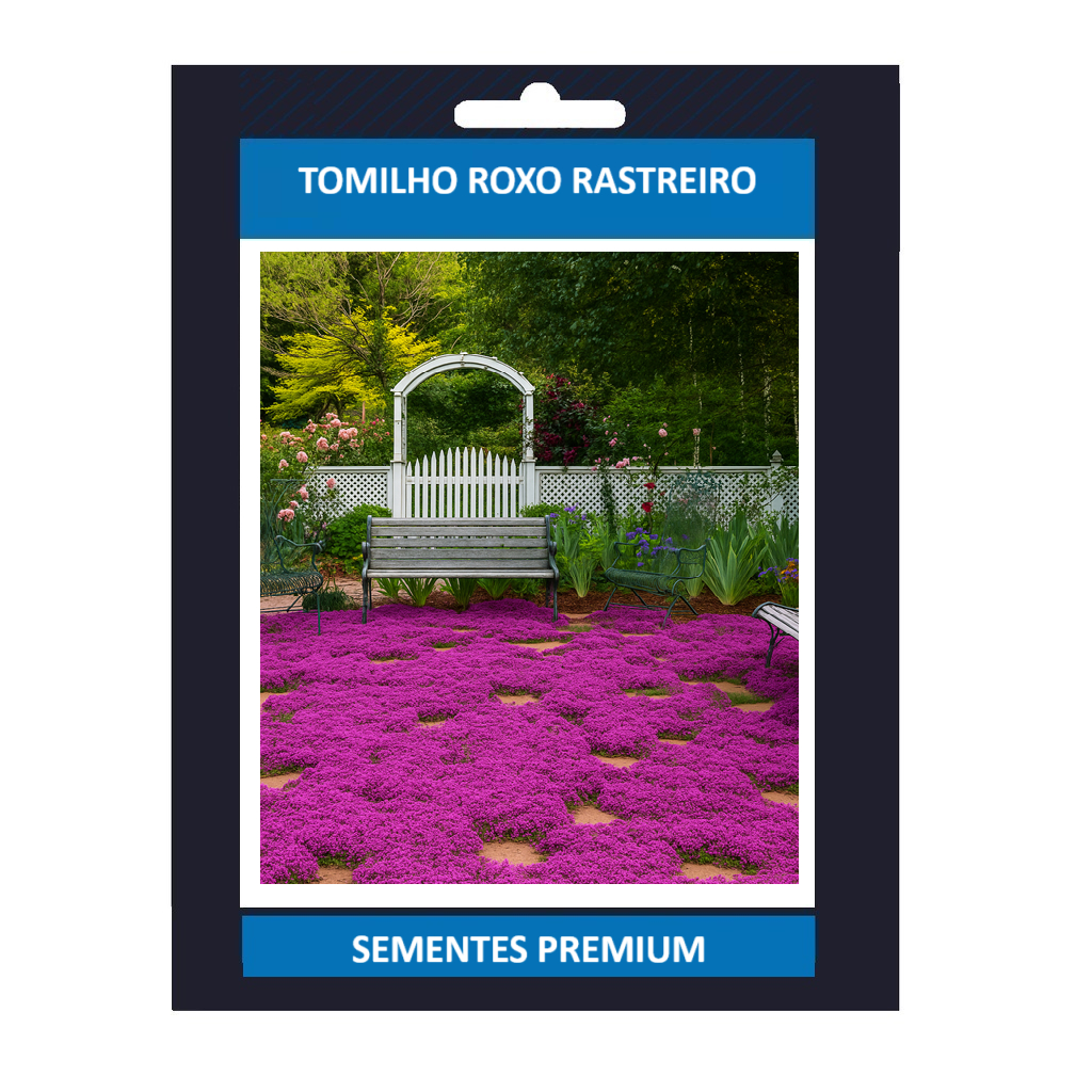 Promoção De 1000 Sementes De Tomilho Roxo Rasteiro Ervas Premium ...