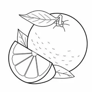 Folhas para Colorir Frutas Cesta de Fruta Arte Terapia Kit de Desenho Adulto Esboço 100 Unidades em Oferta na Shopee