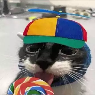 Chapéu para gato e cachorro hélice fantasia boné para pet meme helicoptero chapéu eba