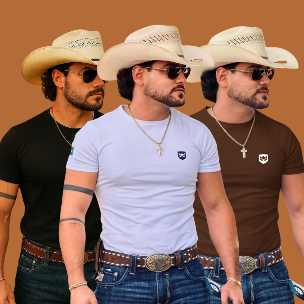Kit 3 ou 2 Camisetas Rincon Procedimento Agro Ram Country 100% Algodão ...