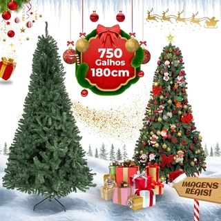 Arvore Natal Real 150cm com 380 Galhos Pé de Ferro Sodalita
