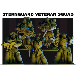 SpaceMarines - SternGuard Veteran Squad | Warhammer 40K