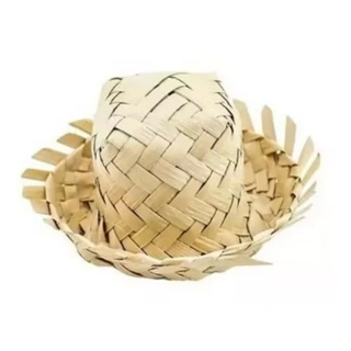 MINI CHAPÉU DE PALHA | DECORAÇÃO FESTA JUNINA | CENÁRIO | ARTIGOS PARA FESTA | FANTASIA | LEMBRANCINHA | UNIDADE